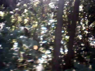 Frühling übers Jahr instrumental