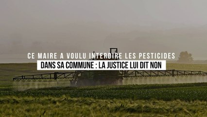 Ce maire a voulu interdire les pesticides dans sa commune : la justice lui dit non