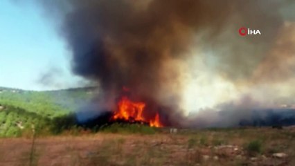 Çanakkale'de şehrin yanı başında korkutan orman yangını