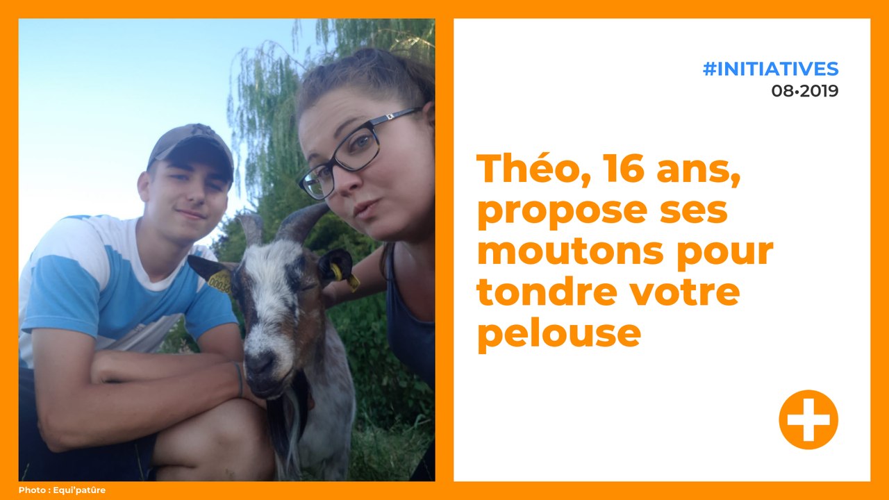 Théo, 16 ans, propose ses moutons pour tondre votre pelouse