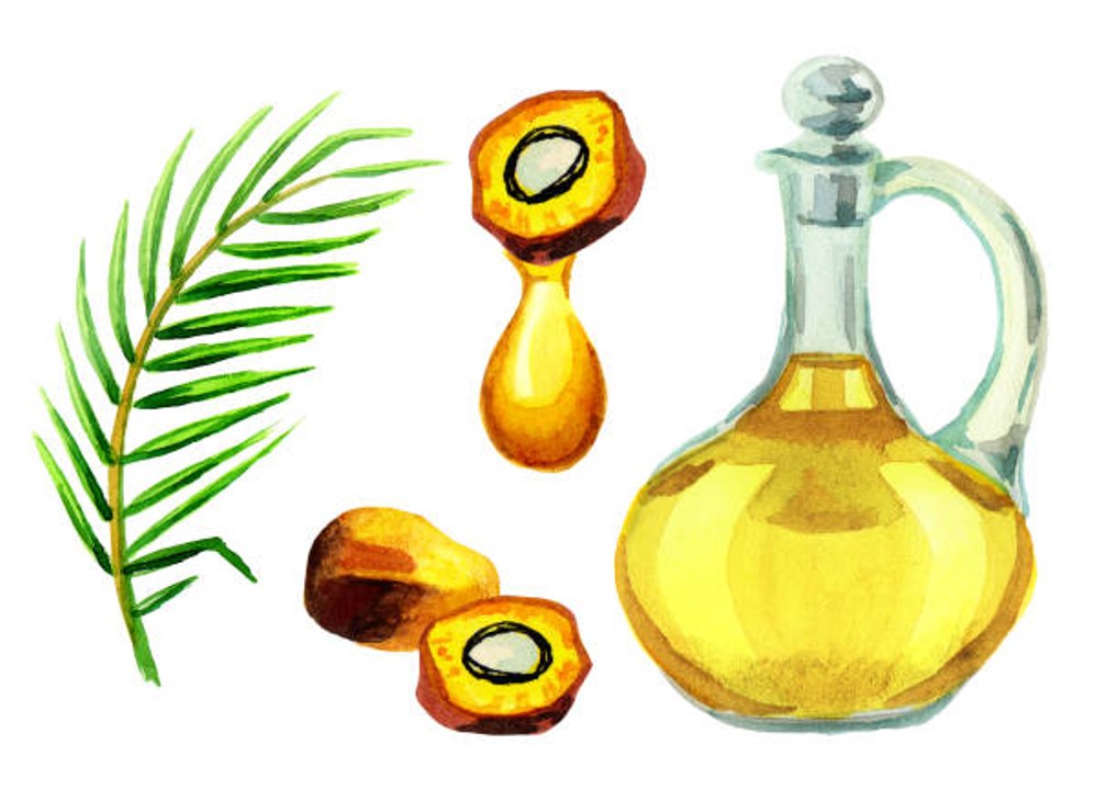 Alles über Palmöl