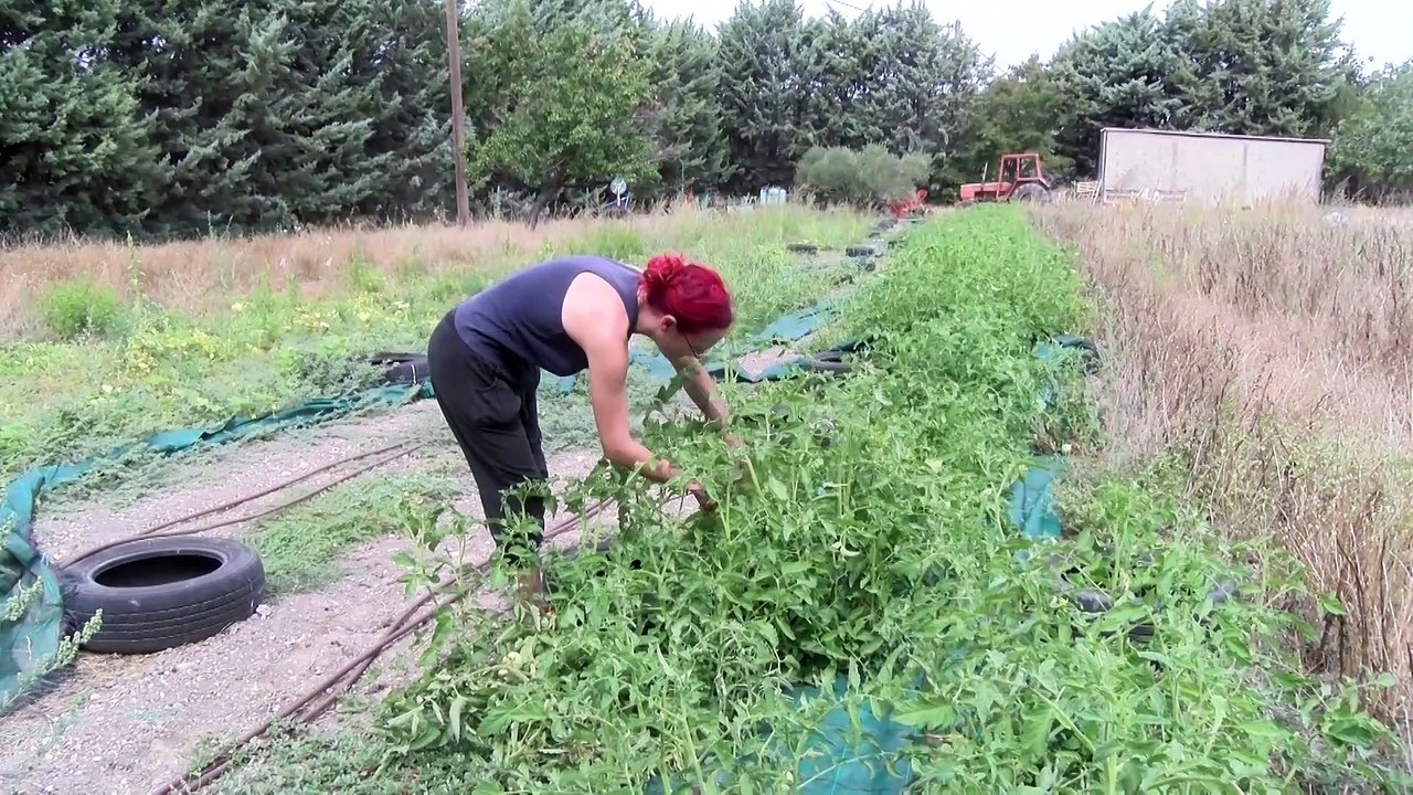 Bientôt un arrêté anti-pesticide à Gignac-la-Nerthe