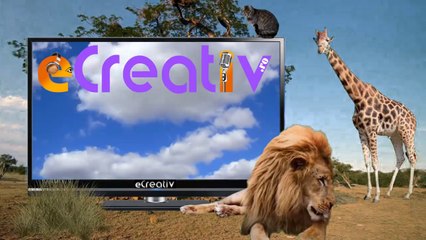 DIFUZARE RECLAMA LA RADIO