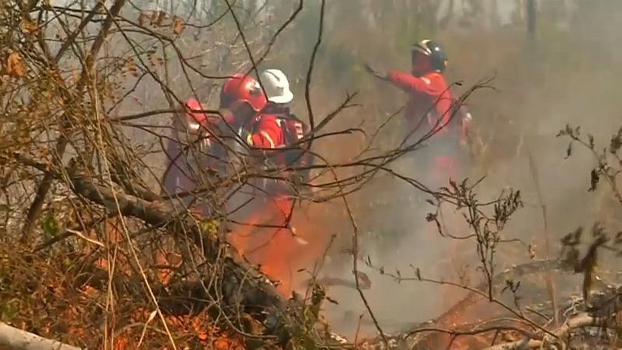 Waldbrände in Bolivien fast gelöscht