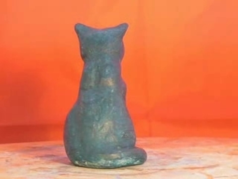 Chat assis turquoise