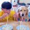 S’il y a une chose que vous devez voir aujourd’hui, c’est cette compétition humaine vs. chien mangeant des nouilles !