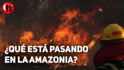 ¿Qué está pasando en la Amazonia?