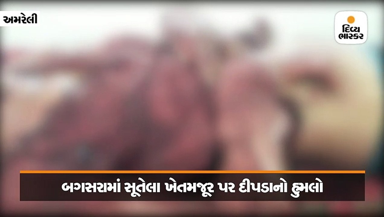 બગસરાના ઘંટીયાણ ગામમાં વાડીમાં ભરનિંદ્રામાં સૂત...