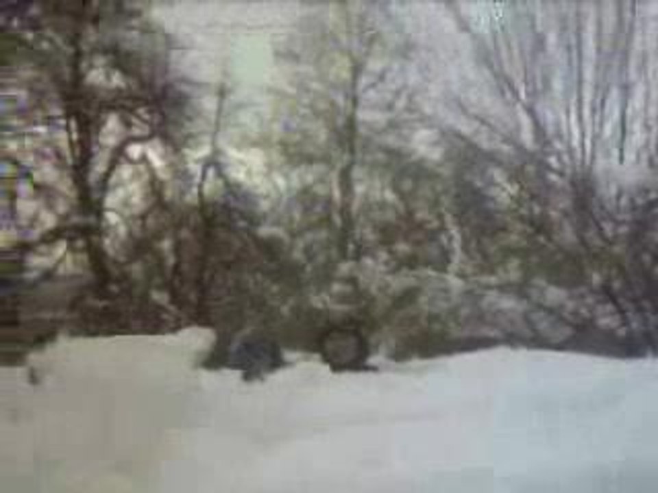 ski freestyle team megeve