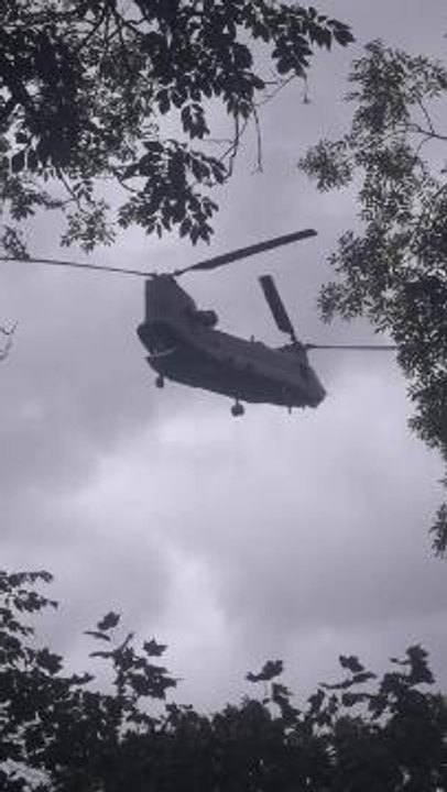 Chinook