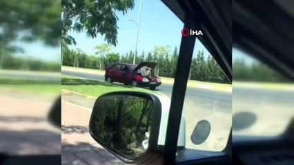 Seyir halindeki aracın motor kısmında ilginç yolculuk