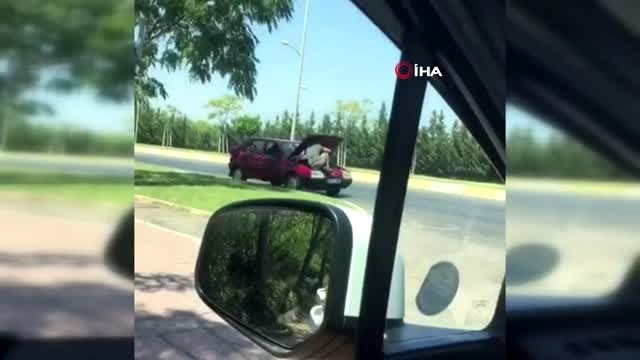 Seyir halindeki aracın motor kısmında ilginç yolculuk