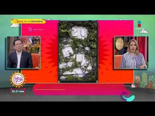 Gerardo Bazúa expone a Paulina Rubio por no dejarlo ver a su hijo | Sale el Sol