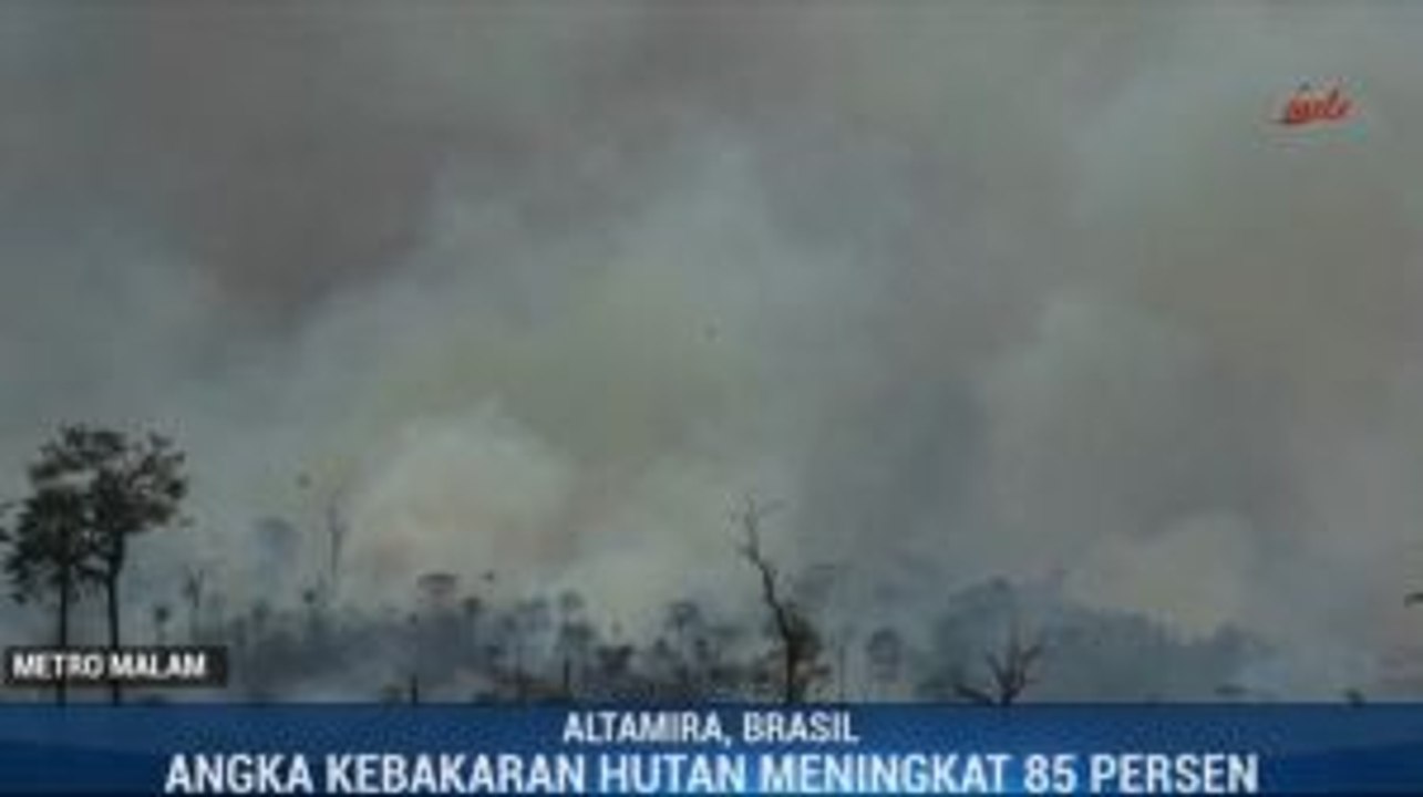 Asap Pekat Kebakaran Hutan Amazon