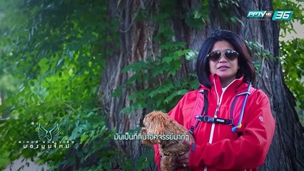 มองมุมใหม่ Bird’s eye view EP.141 Garden of the God (1/3)