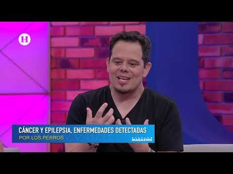 Perros pueden detectar enfermedades con el olfato