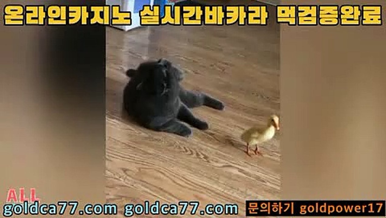 우리카지노     https://www.banker376.com    pc카지노       https://www.golca95.com 도박           https://www.golca88.com      바카라필승법   https://www.golca77.com 올인구조대     https://www.banker19.com     바카라추천     https://www.banker376.com 홀덤           https://www.golca