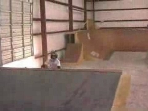 Bmx-freestyle-dave-mirra