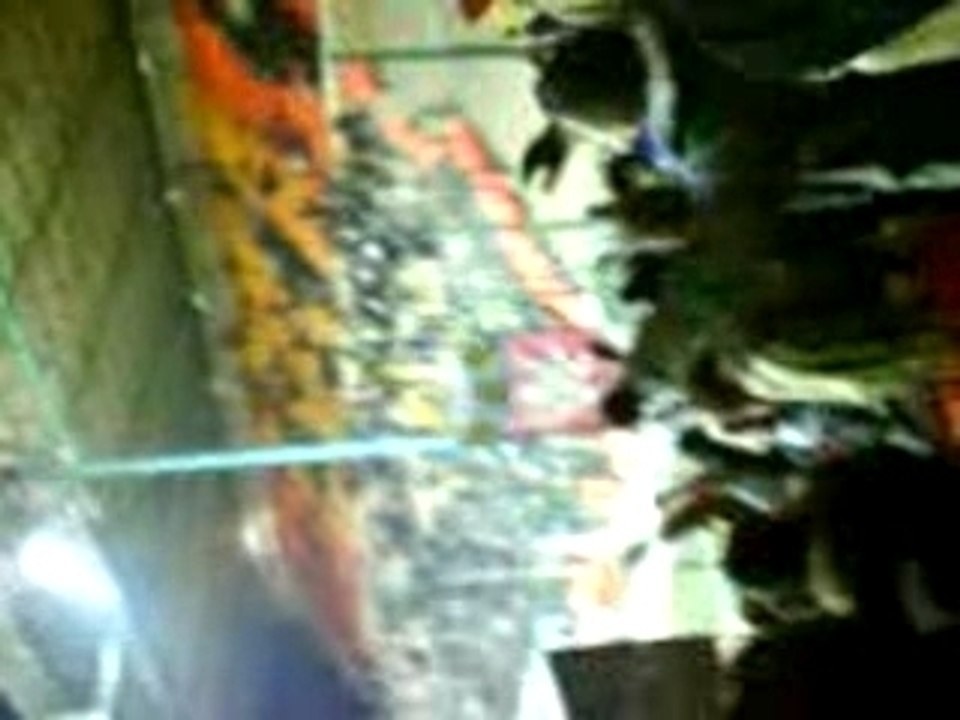 MOV00212