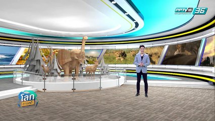 โลกสารคดี EP.8 Pride in The Battle ฝูงแห่งการดิ้นรน (3/3)