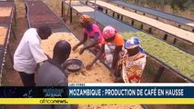 DRC: Cobalt production halted [Business africa]