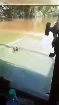 Ce routier roule avec son camion dans la rivière, avec l'eau jusqu'aux épaules!