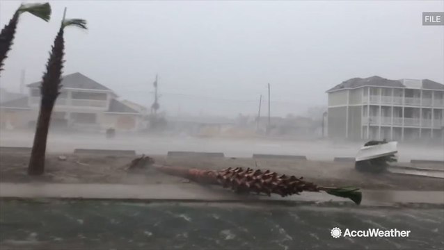 How Lowe's help customers prepare ahead of natural disasters