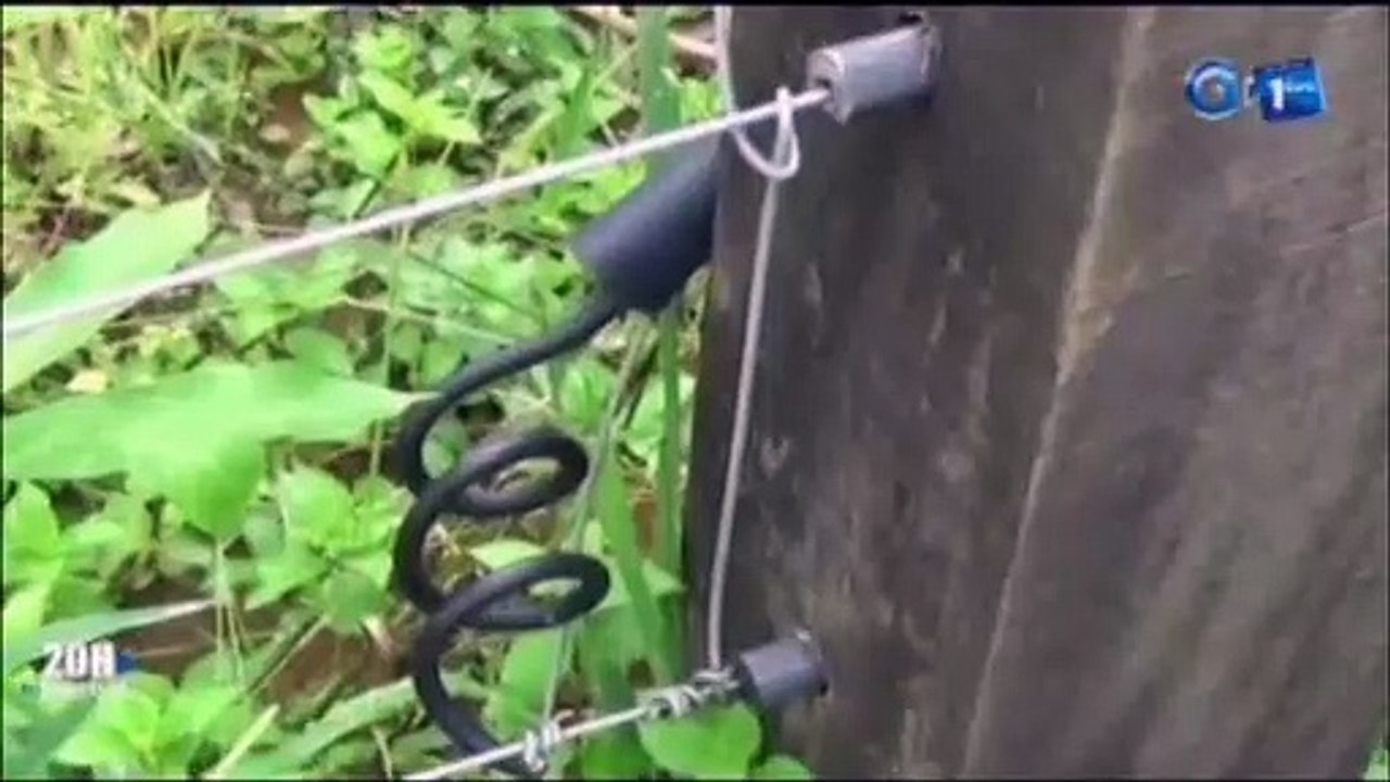 RTG/Le point sur la réunion préparatoire à la 2e session ordinaire 2019 du conseil économique, social et environnemental