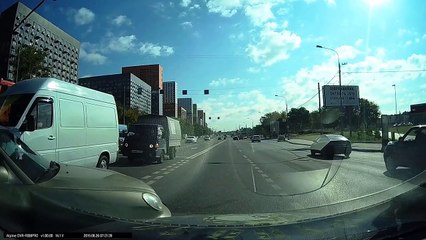 Stray Kitten Rescued from Busy Street