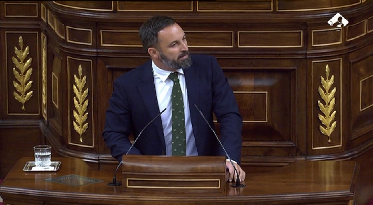 Abascal sobre el Open Arms: "Son inmigrantes ilegales"