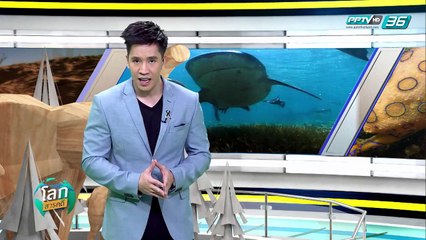 ออสเตรเลีย มฤตยูป่าโลกสะพรึง - โลกสารคดี (3/3)