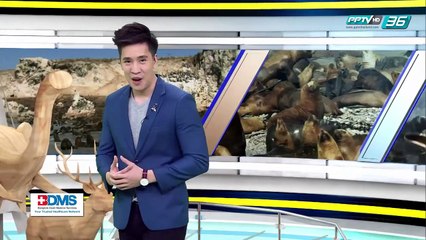 ชายฝั่งลึกลับแห่งอเมริกา - โลกสารคดี (3/3)