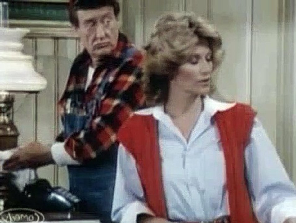 Newhart S02E02 ItHappenedOneAfternoonPart2 video Dailymotion