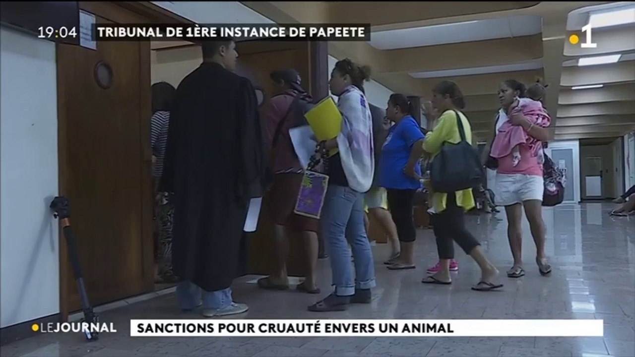 trois mois de prison avec sursis pour avoir tué un chien