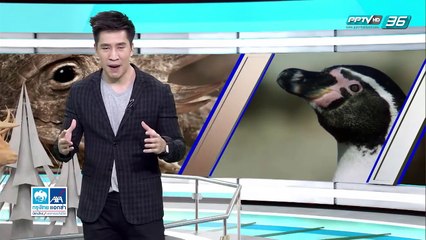 ทะเลทรายลึกลับแห่งอเมริกา - โลกสารคดี (2/3)