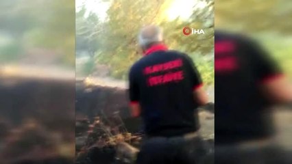 Tarlada yanmak üzere olan kaplumbağayı itfaiye ekipleri kurtardı