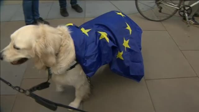 La sociedad británica se subleva contra la decisión de Boris Johnson de cerrar el Parlamento