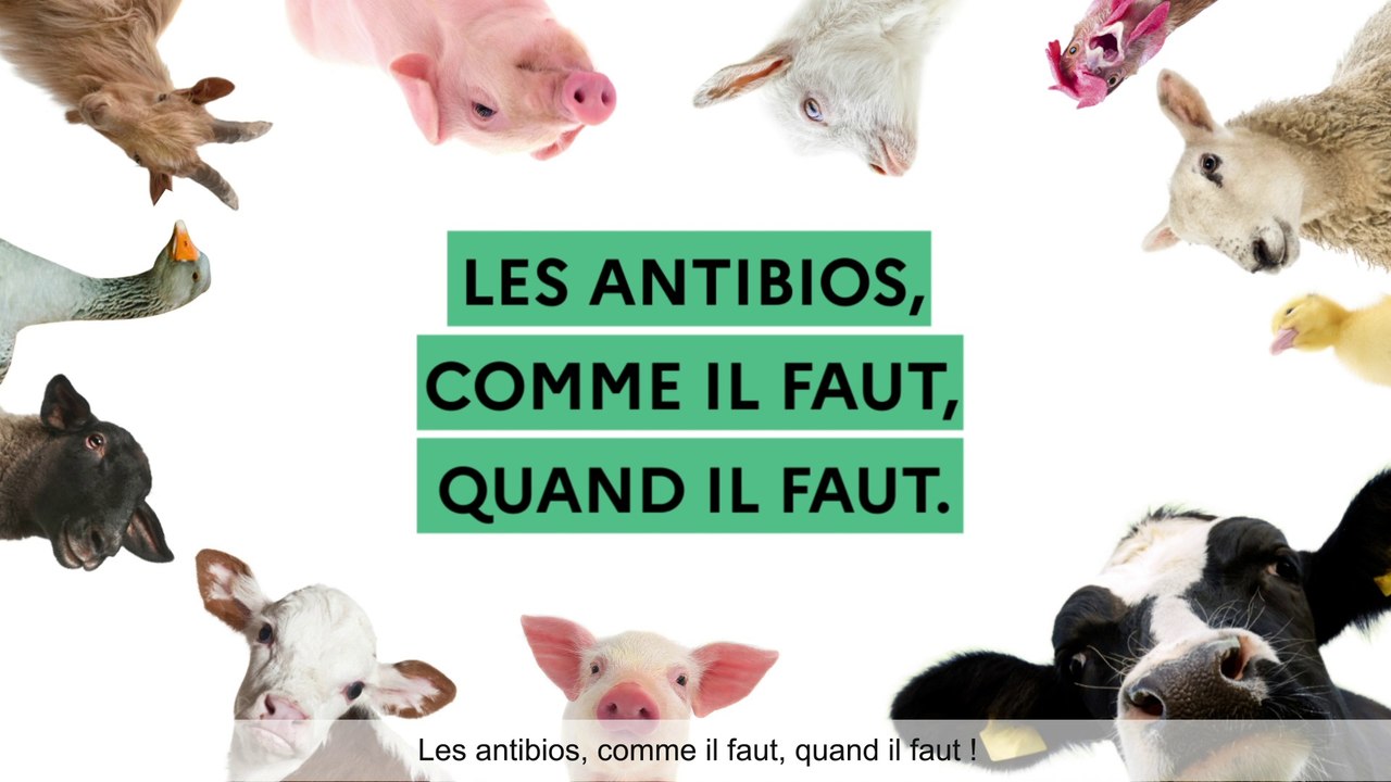 Animation : Les antibios, comme il faut, quand il faut