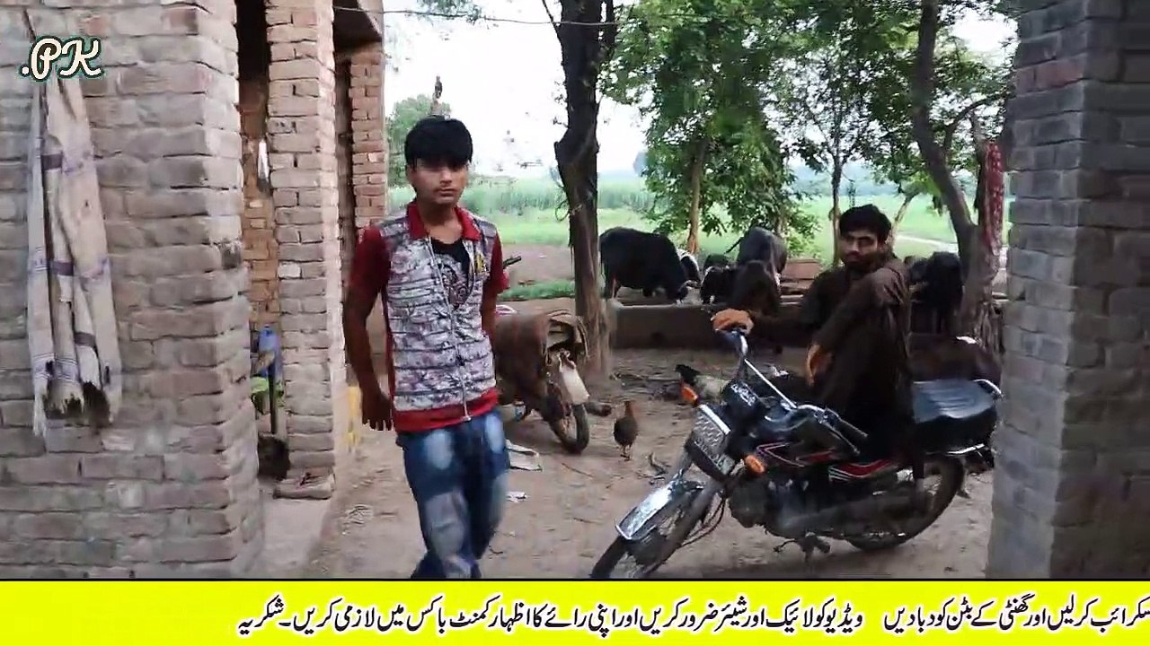 70 جانوروں کا فارم ,30 جانوروں سے روزانہ 200 کلو دودھ ,روزانہ کی بچت 14 ,15 ہزار ,40 سال کا تجربہ رکھنے والے بزرگ کا کمال کا انٹرویو