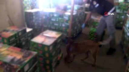 Kapıkule'de hurma taşıyan tırdan 455 kilogram eroin çıktı