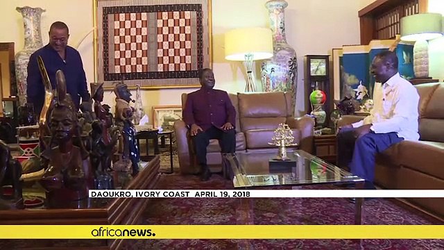 Ivory Coast: opposition rejects EC constitution