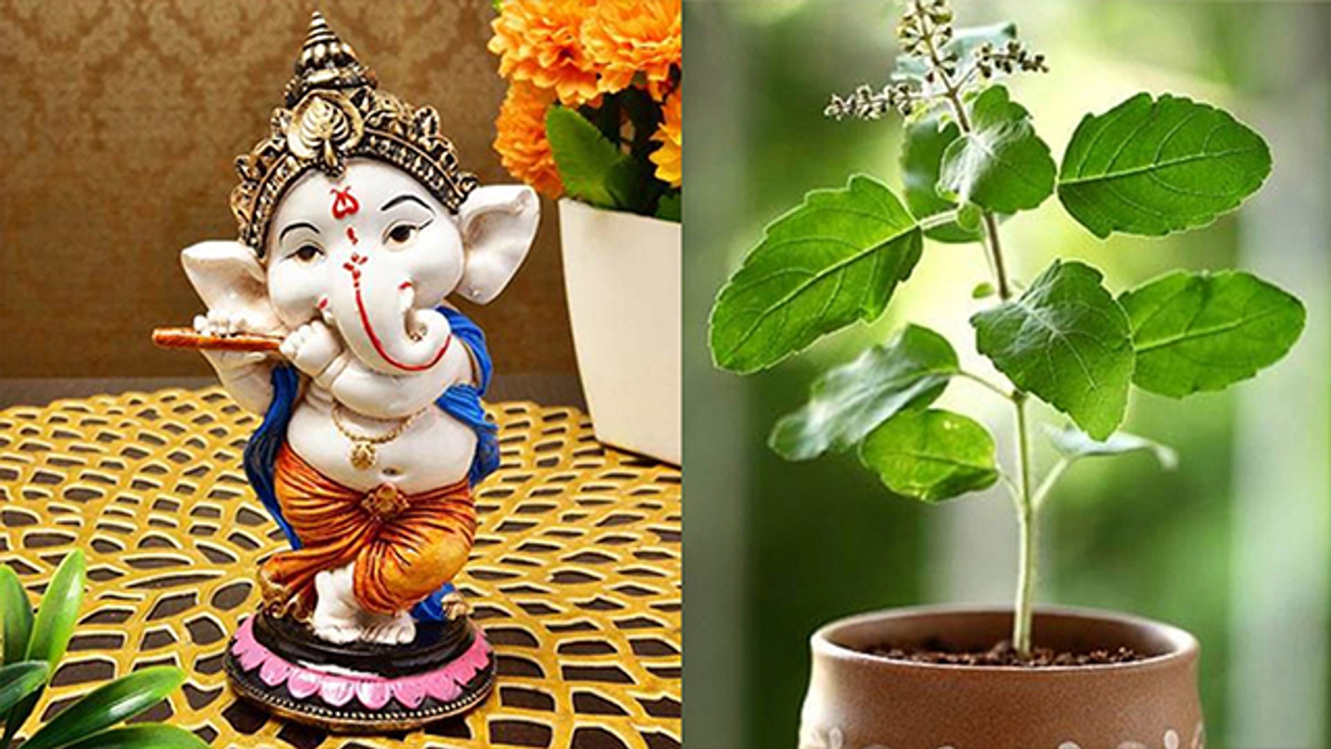 गणेश जी को क्यों नहीं चढ़ाते हैं तुलसी | Why is Tulsi not Offered to Lord  Ganesha | Boldsky