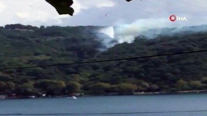 İstanbul Anadolu Kavağı'nda orman yangını: Şimdi mi geldi yani? O kadar şey oldu