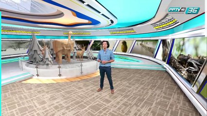 ผจญดินแดนแล้งร้อน | โลกสารคดี (2/3)