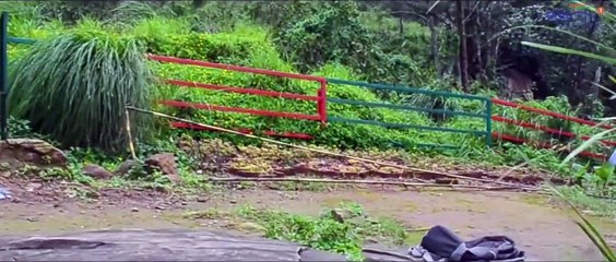 ഒരു കാഞ്ഞിരക്കൊല്ലി യാത്ര | #Kanjirakolli | #Sasippara | Travel Video | Boldsky Malayalam