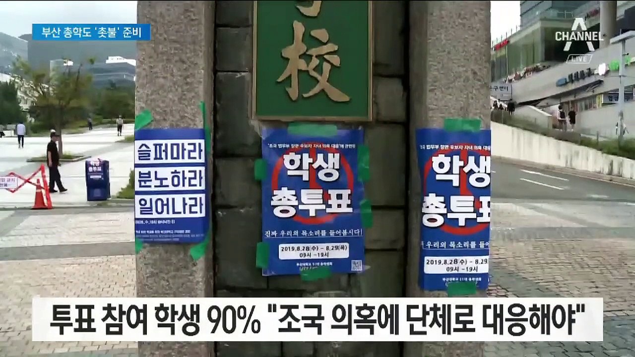 투표 참여한 부산대 학생 90%  “조국 의혹에 단체행동 찬성”