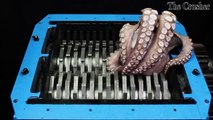 Experiment Shredding Giant Octopus And Toys