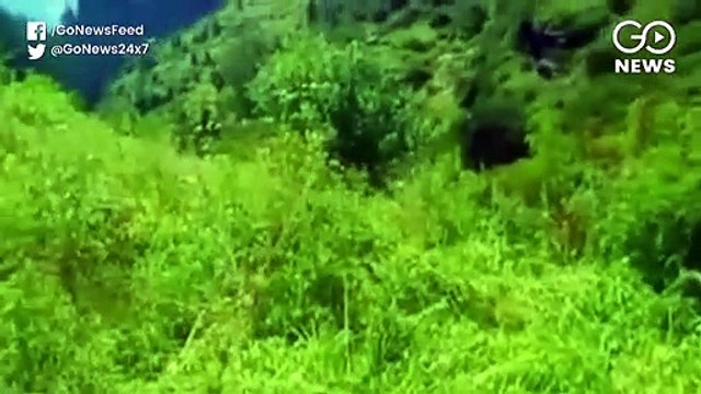 Himachal Police Starts Drive Against Marijuana Farming