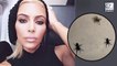 Kim Kardashian Finds Giant Tarantulas In Her House And People Freak Out!