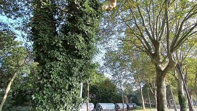 Nouvelle piste cyclable au port autonome de Strasbourg